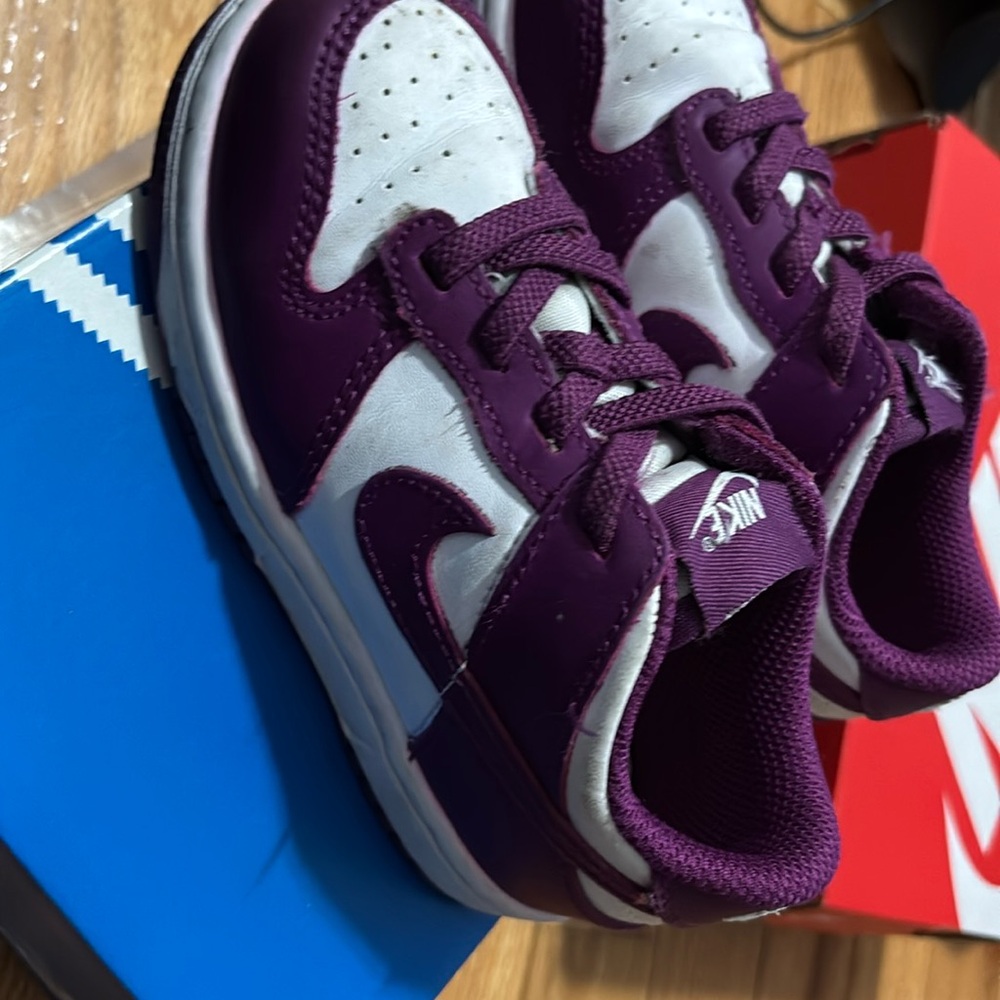 Nike Dunks 9C